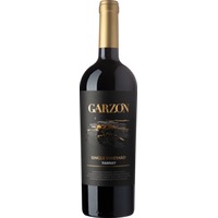 Bodega Garzon Single Vineyard Tannat