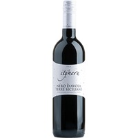 Itinera Nero d'Avola Sicilia IGT - Mondo del Vino