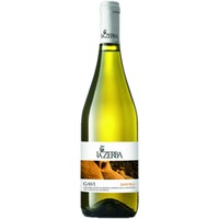 La Zerba Gavi DOCG Anfora - - Piemont, Italien