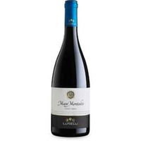 Maso Montalto'Trentino Pinot Nero
