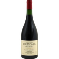Poligonos Paraje Altamira Malbec - Zuccardi