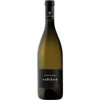 Pinot Grigio DOP Collio Cadibon - - Friaul, Italien