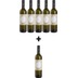 5+1 Gratis Flasche Asprolithi - Rouvalis Winery, trockener griechischer Weißwein 
