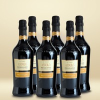 Medici Ermete Assolo Lambrusco Reggiano Secco 6er Vorratspaket