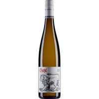 Weinmanufaktur von Buhl Riesling, Trocken, Pfalz, Pfalz, 2024, Weißwein