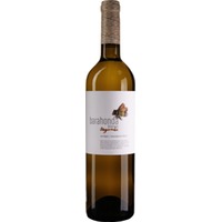 Barahonda Blanco Verdejo Sauvignon Blanc Organic