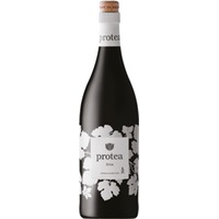 Anthonij Rupert Protea Shiraz