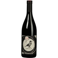 Pannobile Weingut Pittnauer - - Carnuntum, Österreich