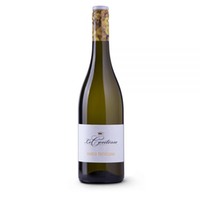 Prosecco Frizzante - Marca Trevigiana IGT