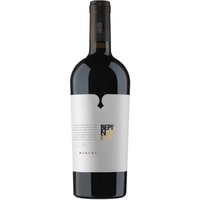 Merlot die Colli Trevigiani IGP - Bepin de eto