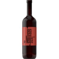 Cantina Giubiasco Tera Negra Ticino DOC Bondola - - Tessin, Schweiz