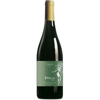 Weinmanufaktur Fliederhof Sauvignon Blanc Stella DOC - - Südtirol, Italien