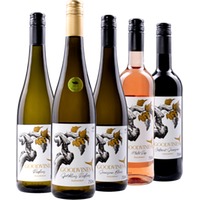 Alkoholfreie Vielfalt von Goodvines – 5x Probierpaket