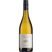 PINIE Grauburgunder trocken - Weingut Heinrich Vollmer