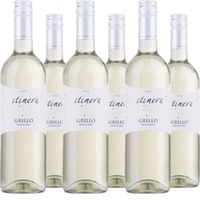 Grillo Terre Siciliane IGT