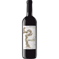 Casanova Chianti Rufina Riserva DOCG Terraelectae BIO - Fattoria Lavacchio