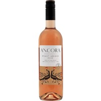 Pinot Grigio Rosé - Ancora