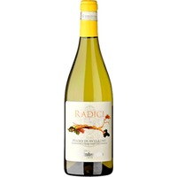 Mastroberardino Radici bianco Fiano di Avellino DOCG - - Kampanien, Italien