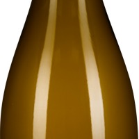 Chardonnay