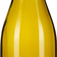 Sauvignon Blanc