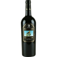 Castellaccio Toscana IGP - Fattoria Uccelliera