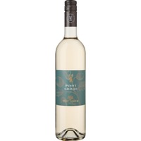 Tüzkö Pinot Grigio, PDO Pannon, Pannon, 2024, Weißwein
