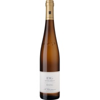 Idig Riesling GG Trocken, Pfalz