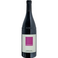 Barbera D'Alba - Sandrone