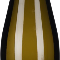 Grüner Veltliner Fels am Wagram