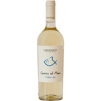 Falerio Grotte sul Mare DOC