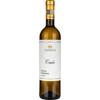 Offida Passerina DOCG BIO - Villa Imperium