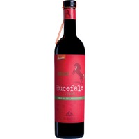 Cooperativa Olearia Vinicola Orsogna Bucefalo Vino da Uve Appassite Rosso - - Abruzzen, Italien