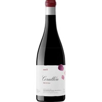 Descendientes de J.P. Palacios Corullón, Bierzo DO, Kastilien - León, 2022, Rotwein