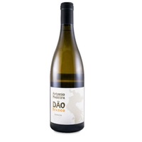 António Madeira Branco