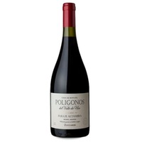 Zuccardi Polígonos Paraje Altamira Malbec