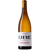 UBE Caserío de Miraflores Alta