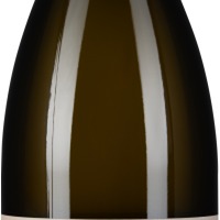 Grüner Veltliner Hirschensuperreyn