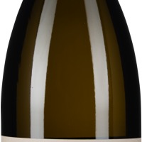 Grüner Veltliner Kalkvogel