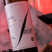 Barbera d'Alba Piana Bio