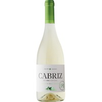Cabriz Colheita Selecionada White, Dăo, Dão, 2024, Rotwein