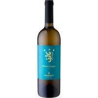Pinot Grigio Friaul - - Antonutti - Italienischer Weißwein