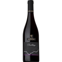 Teroldego Vigneti delle Dolomiti IGP - Cantina Aldeno