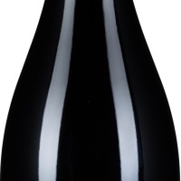 Vigno Carignan Old Vines