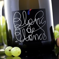 Spumante Blanc de Blancs Brut