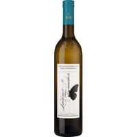 Ried Steinbach Kogel Weißburgunder Südsteiermark DAC