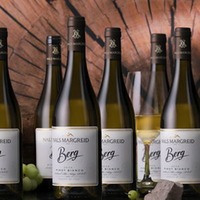 Pinot Bianco Berg
