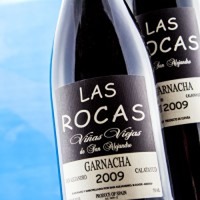 Las Rocas de San Alejandro Garnacha Viñas Viejas