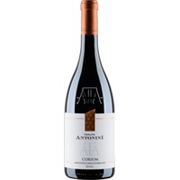 Corium Montepulciano d'Abruzzo DOC trocken - Tenuta Antonini Alessio