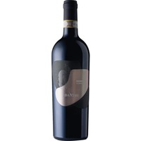 Redivivo Taurasi DOCG - Urciuolo Vini