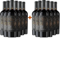 6+6 Paket Racioppo Primitivo Salento IGP - Cantine Lizzano